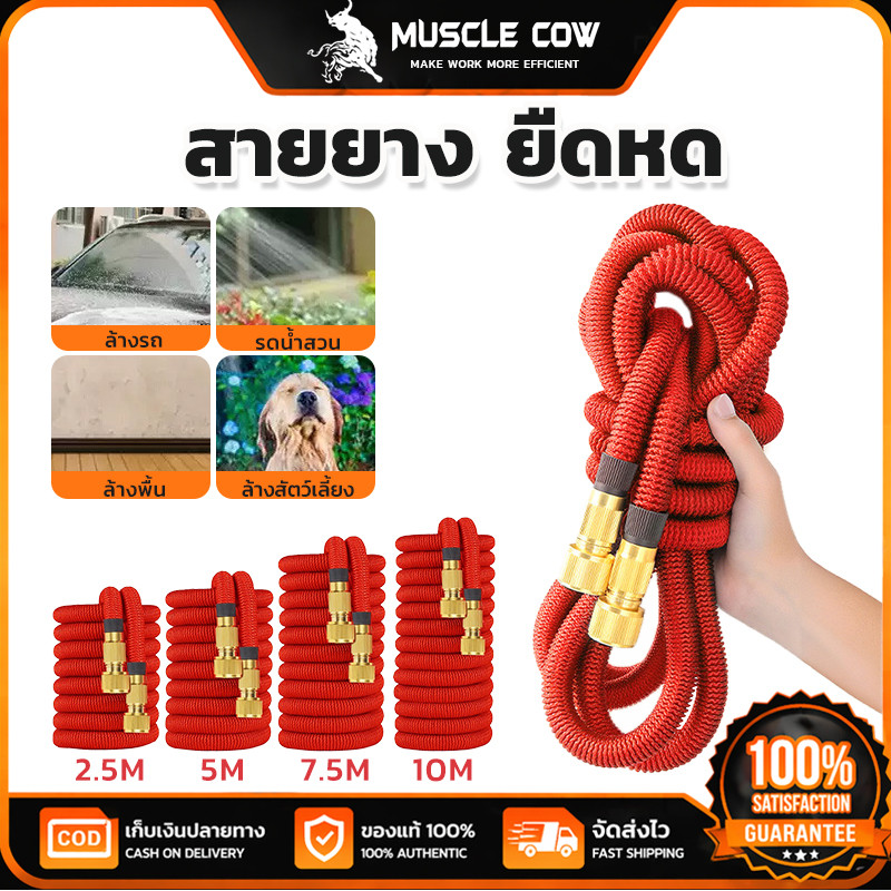 MUSCLE COW สายยางยืดหด 2.5M/5M/7.5M/10M ทนทานใช้งานสวนและล้างรถ ปรับความยาวได้ตามน้ำแรงดันสูง
