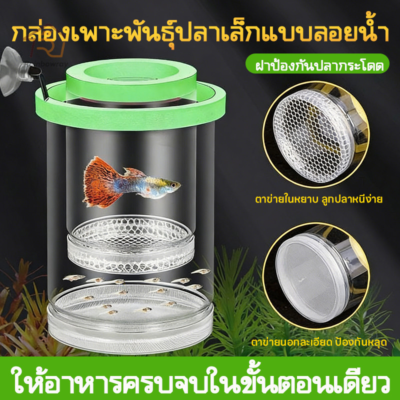 กล่องฟักไข่ปลาที่ลอยได้ กล่องฟักลอย โปร่งใส กล่องแยกปลา ปกป้องต้นอ่อน เพิ่มอัตราการรอดชีวิตของปลา