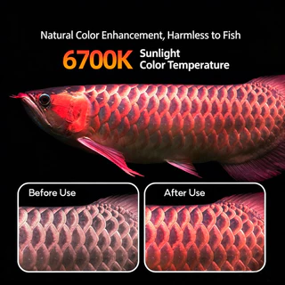 TOPOP CLUB Solar Booster Light แสงธรรมชาติ 6700K Lamp Aquarium โคมไฟตู้ปลา หลอดไฟ Submersible T8 สำหรับตู้ปลา จำลองแสงธรรมชาติ Neo Adjustable Timing
