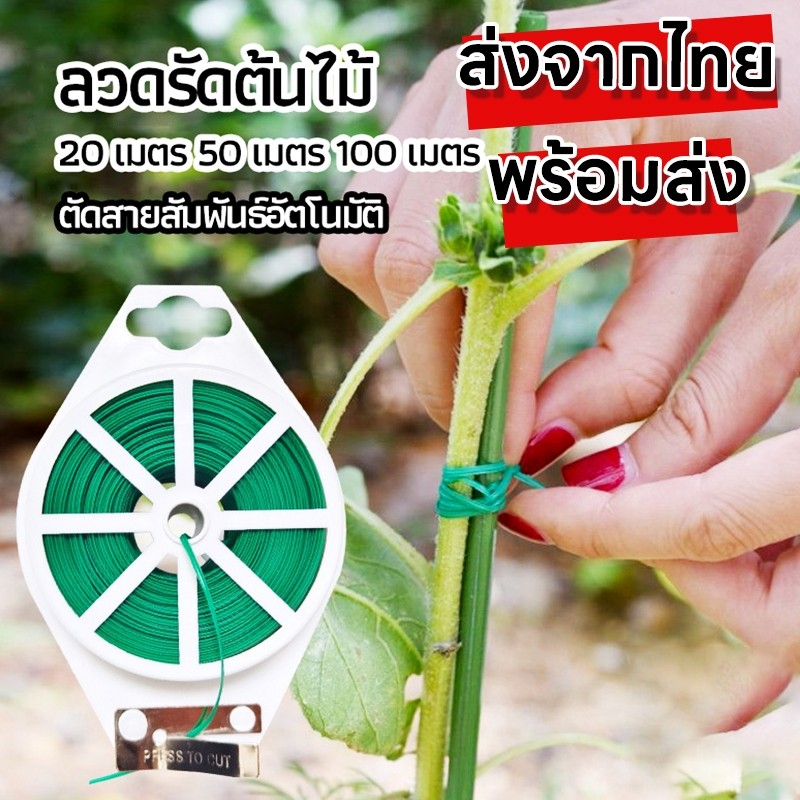♻️COD♻️ 100M/50M  ลวดรัดต้นไม้ ลวดดัดกิ่ง ลวดมัดต้นไม้ ลวดหุ้มพลาสติก ลวดอเนกประสงค์