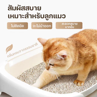 YTL ทรายแมวเต้าหู้ พืชทรายแมว อนุภาคดูดซับน้ำ ย่อยสลายได้ กำจัดกลิ่น ไม่มีฝุ่น การรวมกลุ่ม 6L