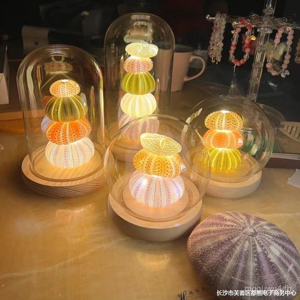 Sea Urchin Shell Night Light DIY Luminous วัสดุ Pack Retro Shell Sea Urchin Night Light DIY