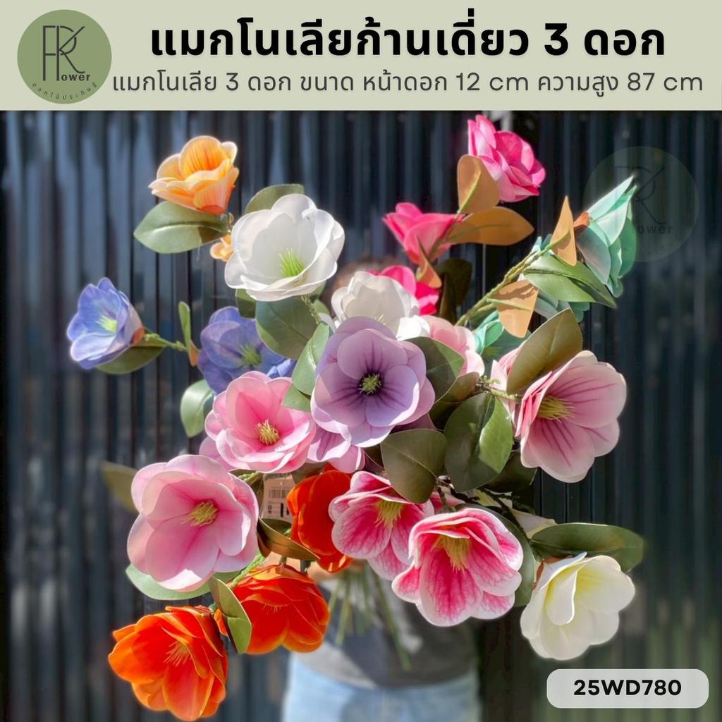 แมกโนเลียก้านเดี่ยว 3 ดอก ขนาด หน้าดอก 12 cm. ความสูง 87 cm.