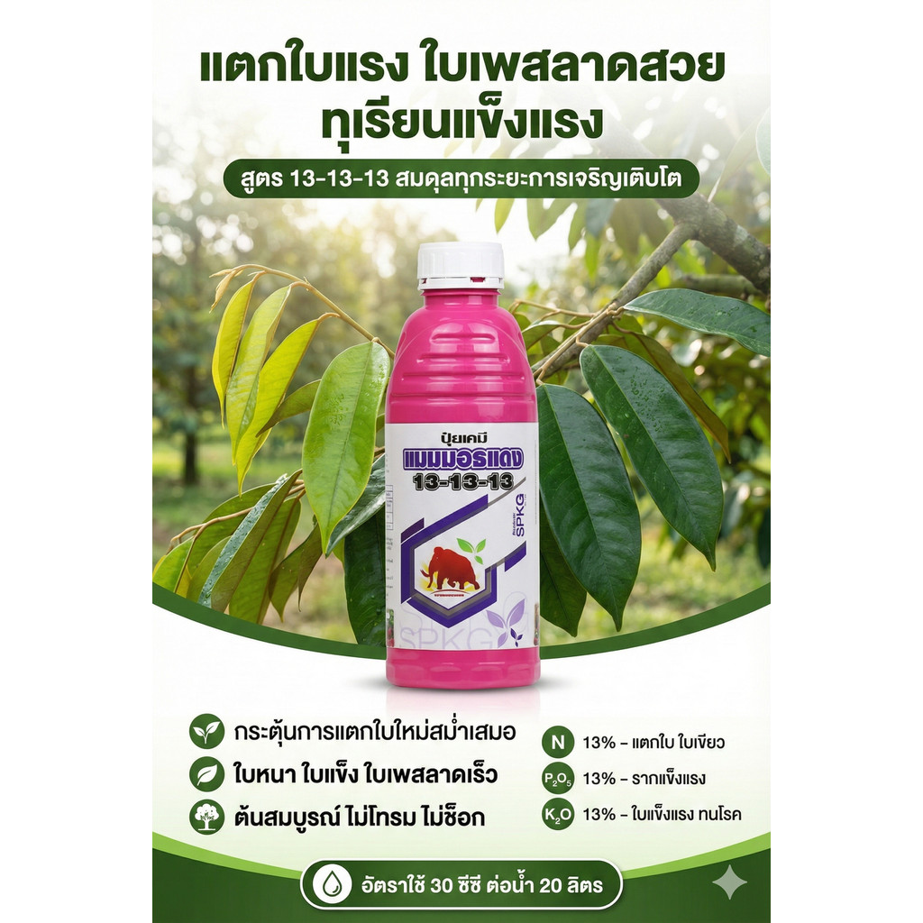 [1ลิตร] ปุ๋ยทางใบ ปุ๋ยน้ำ สูตร 13-13-13 ใบเขียวเข้มสมบูรณ์ ขยายใบ บำรุงต้น ขยายผลบำรุงผล ราคา ถูกที่สุด ดีลบีเคเค แกลเลอรีภาพที่ 2