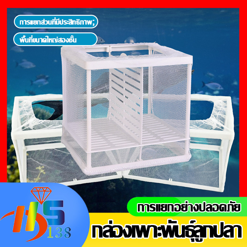 🐠กล่องตาข่ายแยกปลาลูกปลา ตาข่ายเเยกปลา กล่องแยกเลี้ยงปลา เพาะพันธุ์ปลา แยกฟักไข่ ทนทานใช้งานได้ดี