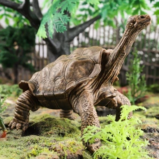 SUQI ตุ๊กตาเต่า,รายละเอียดประติมากรรมรุ่น Figurines เต่าดาว,ตุ๊กตาสัตว์ PVC สัตว์รูปร่าง PVC เครื่องประดับของเล่นเด็ก