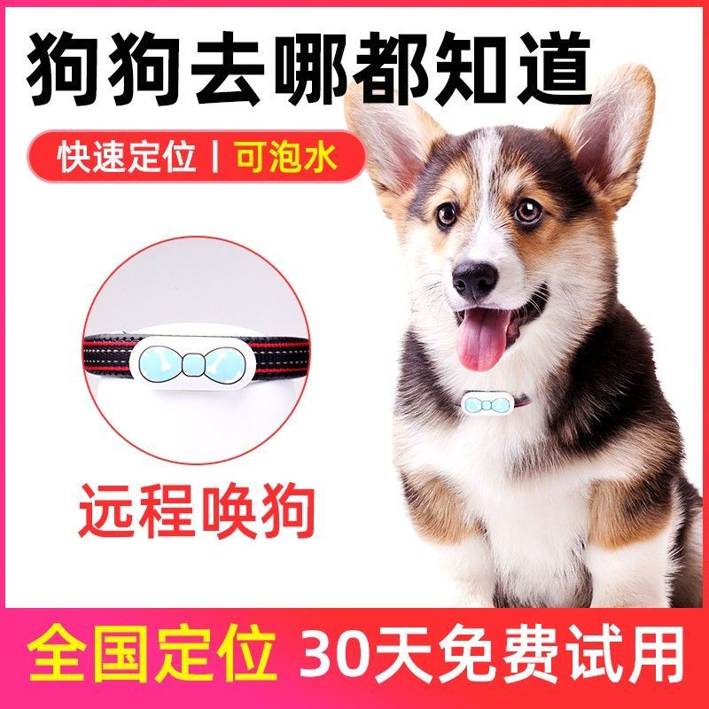 ใหม่สําหรับปี 2026 Pet Locator Cat gps Collar Dog Anti-Lost Device Dog Anti-Lost Tracking Handy Tool