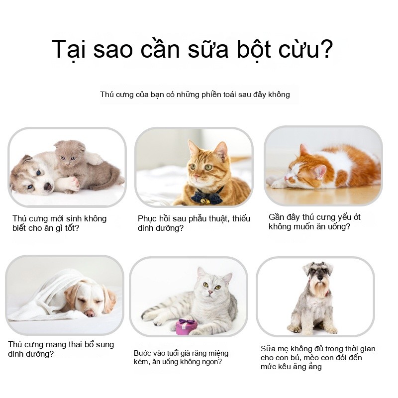 Pet Goat Milk Powder นมผงสุนัข ลูกแมวลูกสุนัข Teddy Bichon Cat Goat Milk Powder 400g