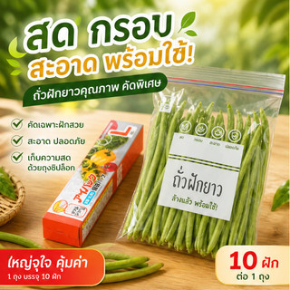 เก็บในช่องแช่แข็งได้ ถุงซิปล็อค ถุงพลาสติกใส ถุงซิปคู่ถนอมอาหาร ถุงซิป ซิปคู่ล็อคน้ำและอากาศได้สนิท 3ขนาด ถุงซิปล็อคสวยๆ