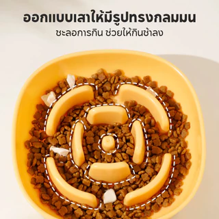 🔥ชามอาหารช้า🔥ชามอาหารฝึกให้ทานช้าลง สําหรับฝึกสัตว์เลี้ยง สุนัข แมว ชามอาหารแมว ชามอาหารสุนัข