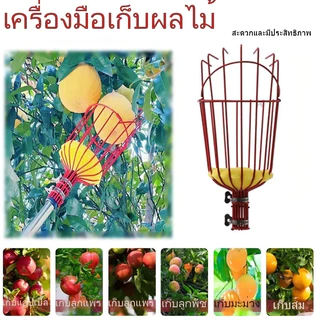 CF.HOME ที่สอยผลไม้ สามารถถอดออกได้ ตะกร้าลึก คุณภาพดี ทันสมัย เก็บผลได้เยอะ พร้อมจัดส่งสินค้า