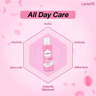 ( 3 แถม 1 ) Lactacyd แลคตาซิด ออล เดย์ แคร์ ผลิตภัณฑ์ทำความสะอาดจุดซ่อนเร้น