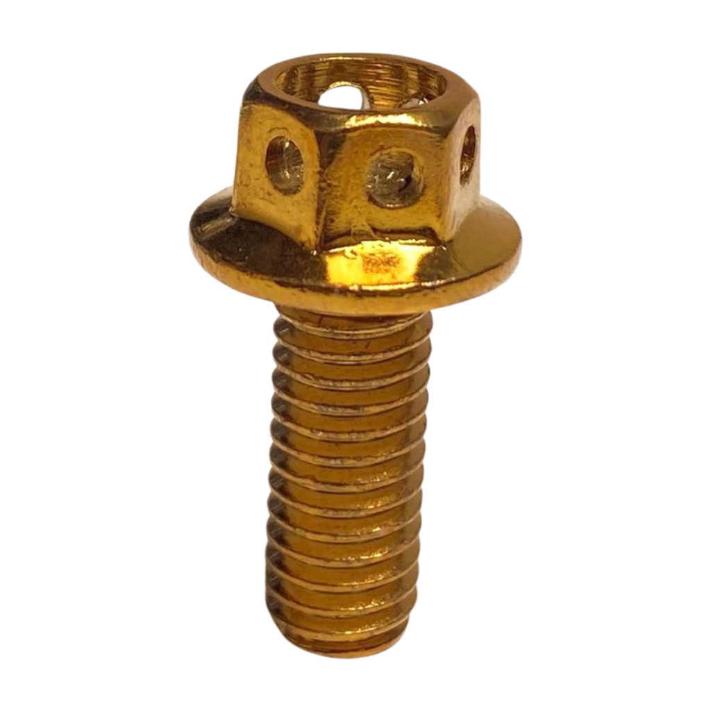 Probolt Stainless Gold Bolt 6mm x 15mm Anti-Rust Motorcycle Variation Bolt รุ่นใหม่ Original Thailan