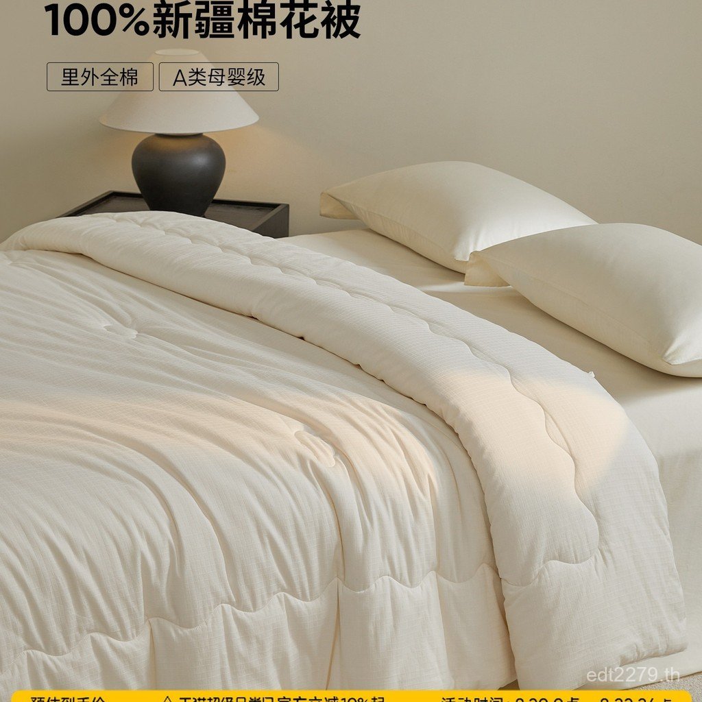 Four Seasons Quilt Quilt Quilt Quilt Xinjiang Quilt Spring Autumn Quilt Core Quilt Pure Cotton Quilt