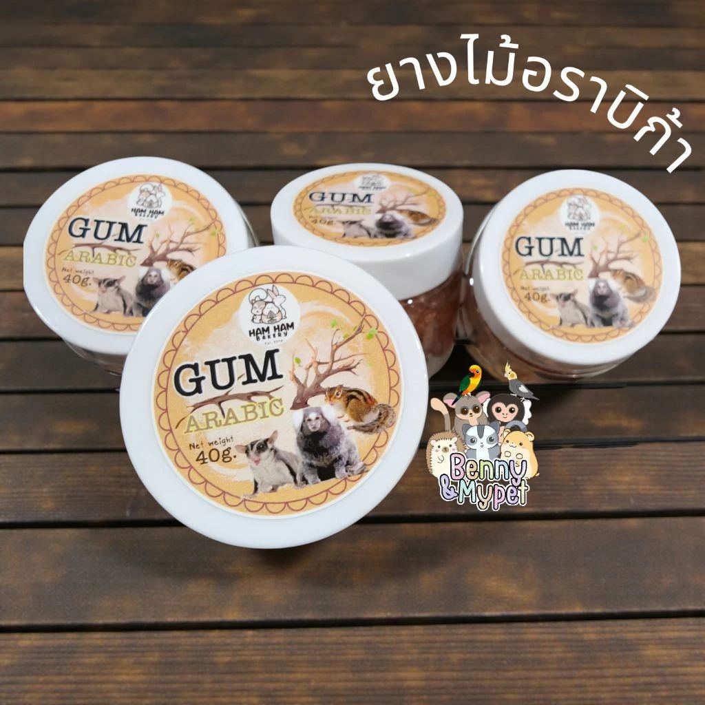 Arabica ยางไม้ธรรมชาติ อาราบิก้า สำหรับสัตว์เลี้ยงลูกด้วยนม ชูการ์ไกรเดอร์ แฮมสเตอร์ กระรอก ชูก้า ชูการ์ไกลเดอร์
