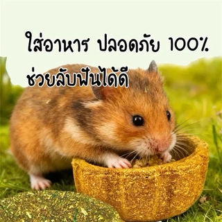 Hambit. ถ้วยหญ้า Timothy ลับฟัน แทะเพลิน 🦷 มี 3 รสชาติ (มันม่วง/ฟักทอง/หญ้า) สำหรับแฮมสเตอร์ กระต่าย แกสบี้