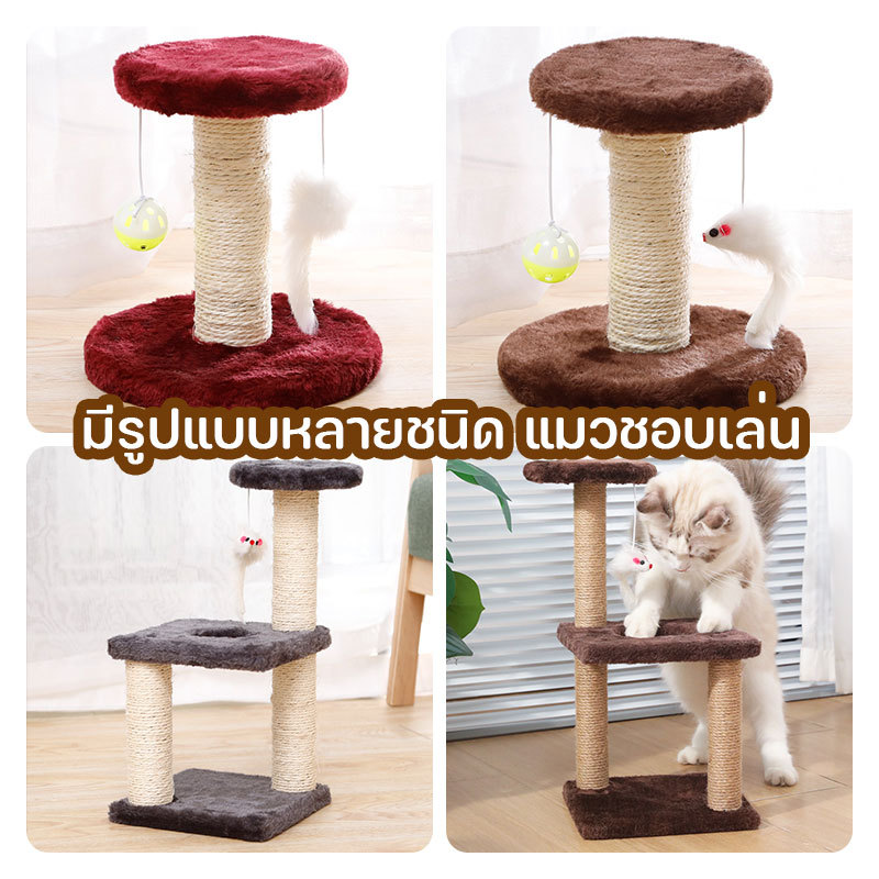 ของเล่นแมว ที่รับเล็บแมว เสาลับเล็บแมวได้ คอนโดแมว
