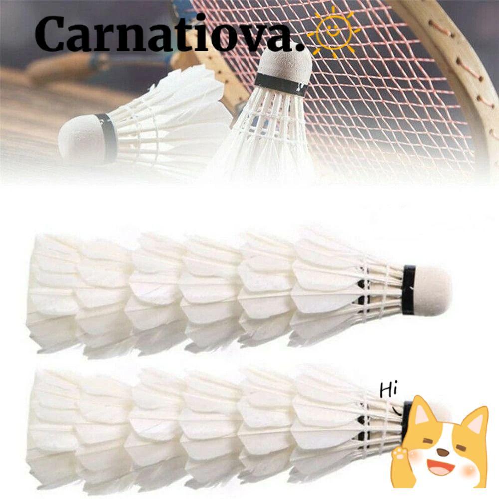 ลูกขนไก่แบดมินตัน ICRNATIO สีขาว มืออาชีพและทนทาน เหมาะสำหรับการฝึกซ้อมและการเล่นที่บ้าน