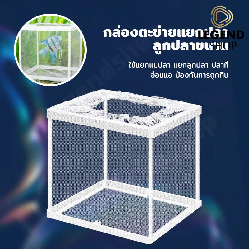 กล่องฟักไข่ปลา ตาข่ายแยกปลา กล่องพักปลา Incubator thumbnail 5