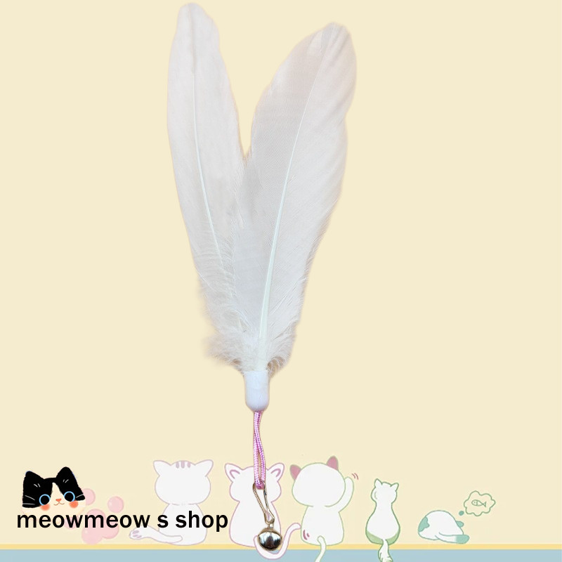 รูปภาพ 6