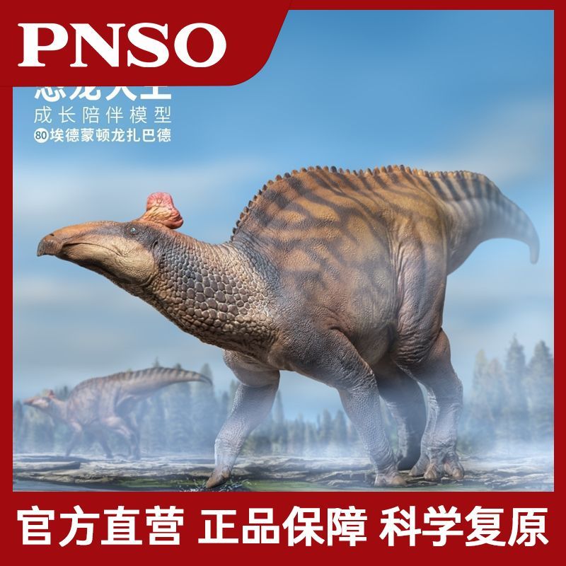 [S] PNSO Ed Monton Dragon Zabard Dinosaur King Growth Assorted Model 80 Children Dinosaur Model Figu