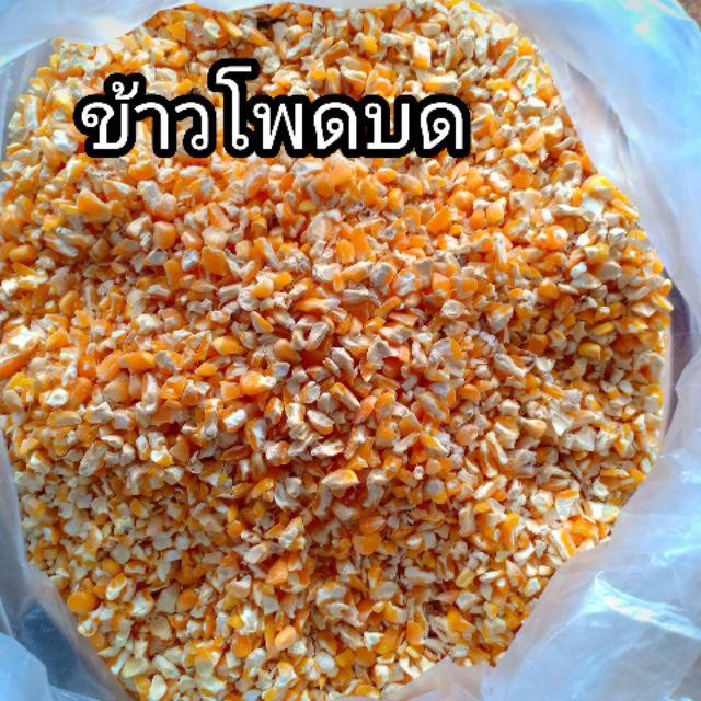 ส่งด่วน ข้าวโพดเม็ดบด 1 กิโล ข้าวโพดอาหารสัตว์