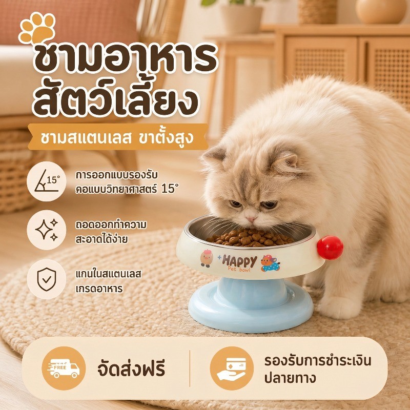COD ชามแมว ถอดได้ สแตนเลส ทนทาน ทำความสะอาดง่าย มียางลื่น ชามอาหารหมาแมว ชามสัตว์เลี้ยง