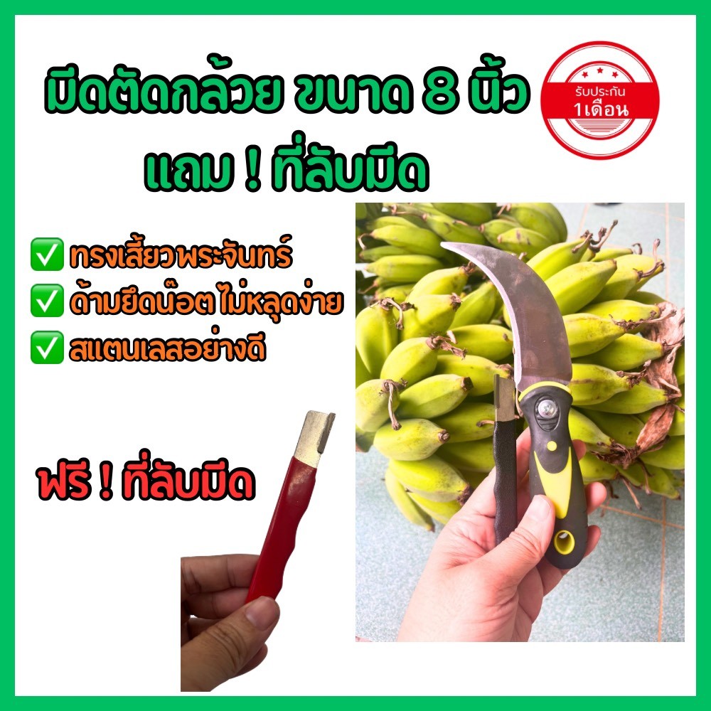 มีดตัดกล้วย แถมที่ลับมีด(คละสี) ความยาว 8 นิ้ว ประกัน 1 เดือน มีดชักกล้วย มีดชัก สแตนเลส คม ด้ามยึดสกรูแน่น ไม่หลุด