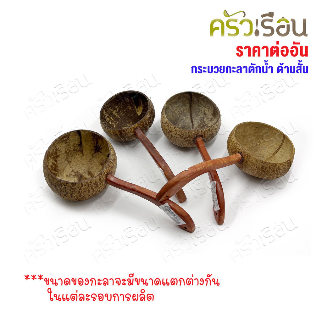 CMG กระบวยกะลา ตักน้ำ Ø12.5 ซม.