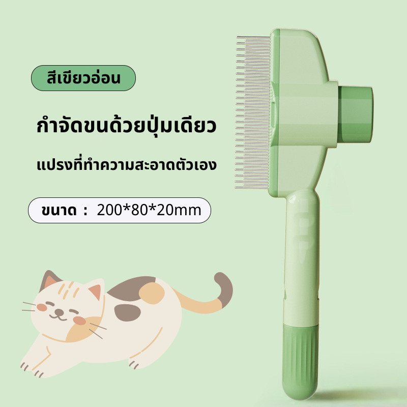 รูปภาพ 9