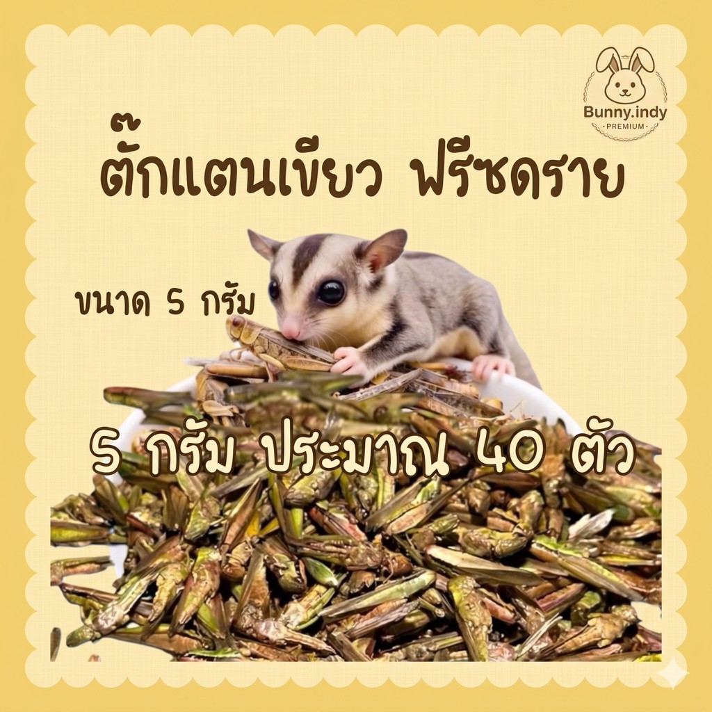 Bunny.indy ขนมสัตว์เลี้ยง ตั๊กแตนฟรีซดราย โปรตีนธรรมชาติ 100% สำหรับชูก้า กระรอก เม่นแคระ 5 กรัม