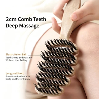 LoomLab หวีลดผมร่วง แก้ผมพันกัน ลดไฟฟ้าสถิตย์ หวียกโคนผม แปรงหวีผม Boar Bristle Hairbrush หวีพับ หวีผม