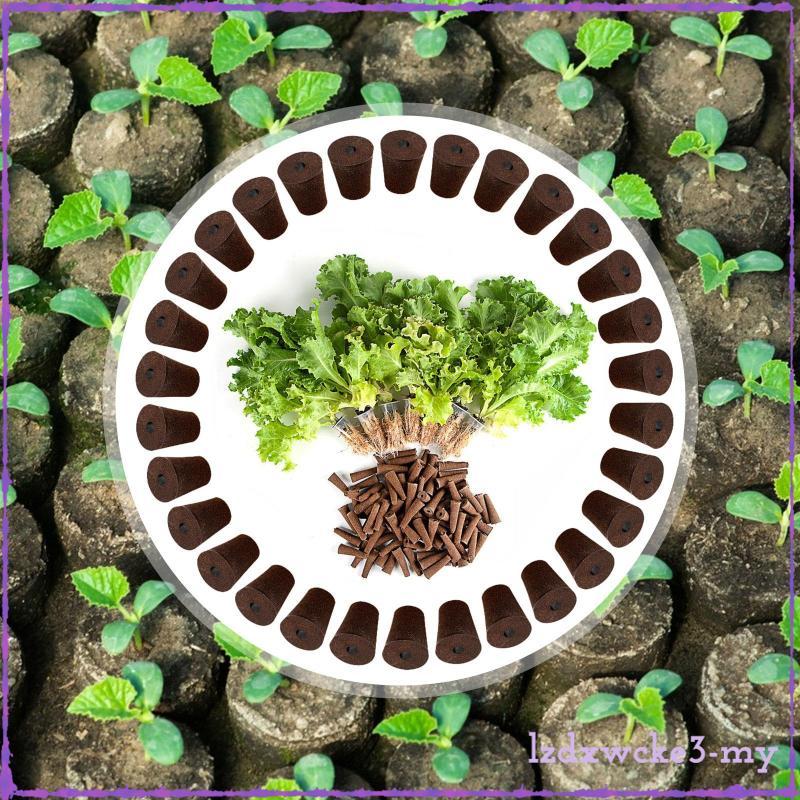 [LzdxwckefaMY] 30 ชิ้นเติบโตฟองน้ําปลั๊ก Rooter Hydroponics ปลูกเปลี่ยนฟองน้ํา Growth สําหรับดอกไม้ผ