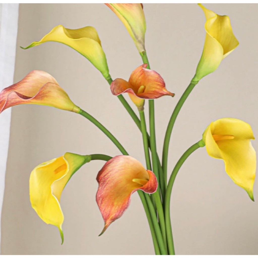 ดอกคาล่าลิลลี่ สเหมือนจริง ดอกไม้ประดิษฐ์เกรดA+   ดอกไม้แต่งบ้าน ดอกไม้จัดช่อ( พร้อมส่ง ) CAL - รูปที่ 6