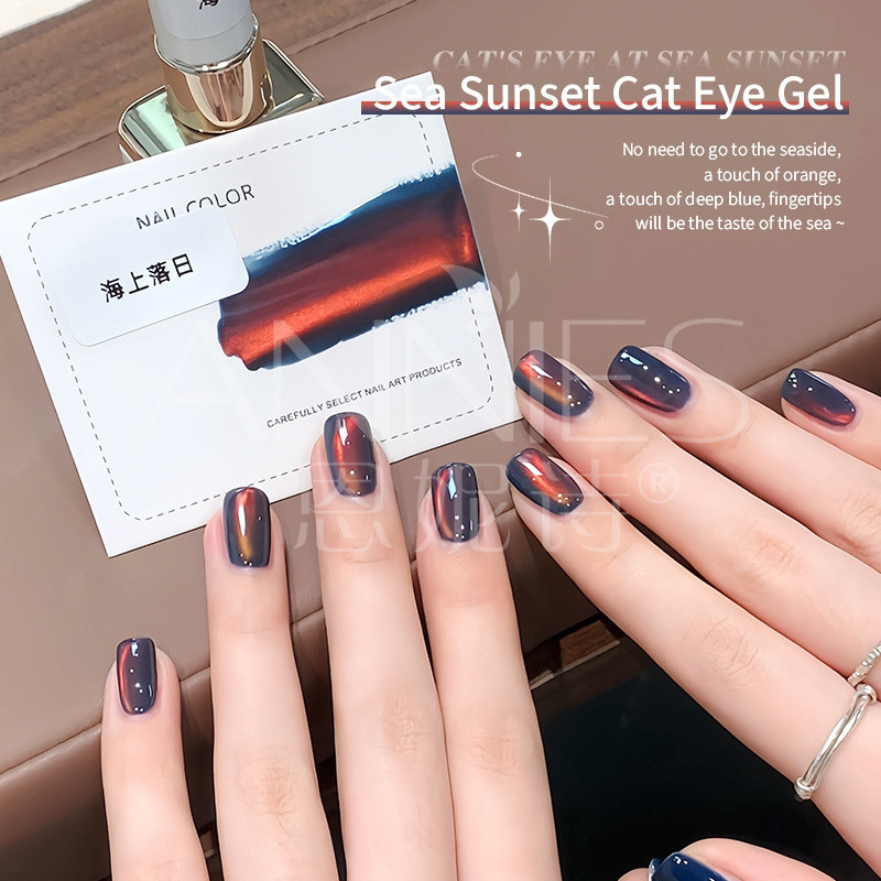 ANNIES ฤดูใบไม้ร่วงฤดูหนาว Golden Light Sea Sunset Cats รูปที่ 3