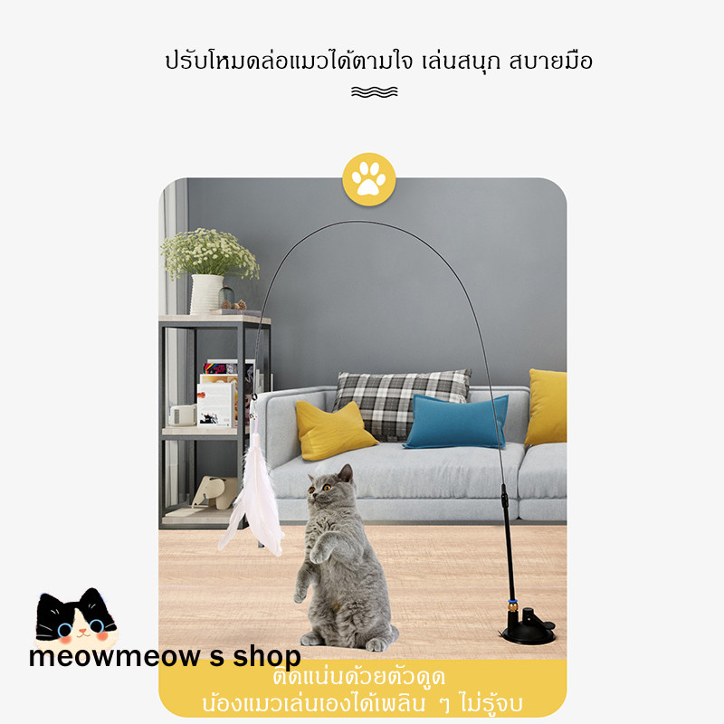 รูปภาพ 4