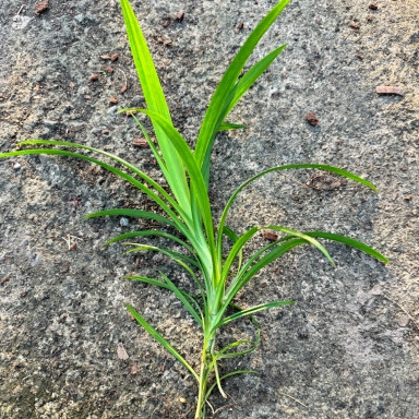 มุมมอง 2