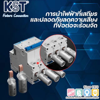 หางปลาต่อเบรกเกอร์ รุ่น DTLC เบอร์ 10/16/25/35/50/70