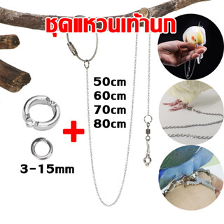 ห่วงขานก ห่วงเปิดนก ห่วงใส่ขานกแก้ว โซ่คล้องขานก โซ่นก สีเงิ…