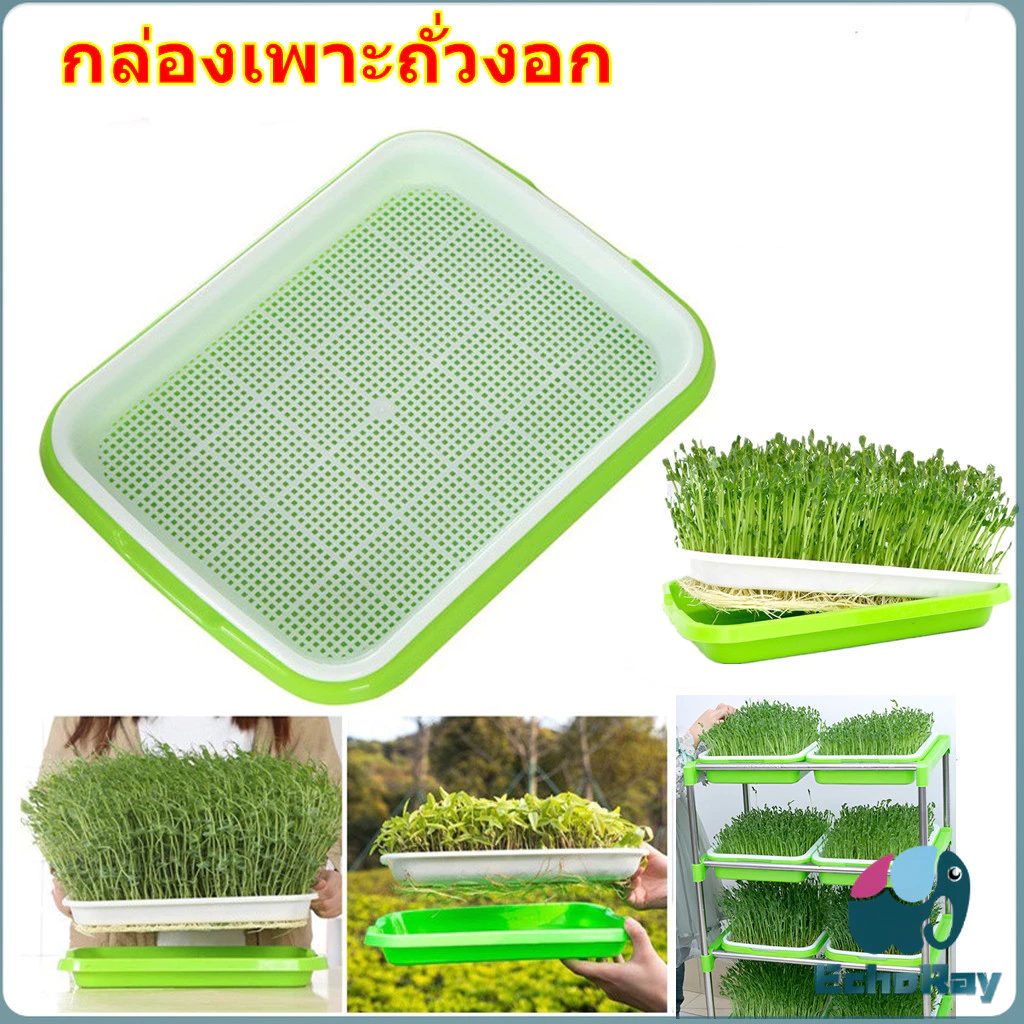 E.R กล่องเพาะถั่วงอก ถาดเพาะต้นอ่อน ไม่ต้องใช้ดิน นำกลับมาใช้ใหม่ได้ สำหรับมือใหม่ 1ชุด bean sprouts tray