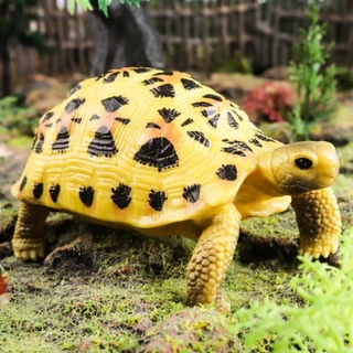 SUQI ตุ๊กตาเต่า,รายละเอียดประติมากรรมรุ่น Figurines เต่าดาว,ตุ๊กตาสัตว์ PVC สัตว์รูปร่าง PVC เครื่องประดับของเล่นเด็ก