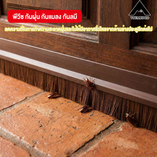 ตะเข็บประตูไม้ คิ้วกั้นประตู คิ้วกันแมลง/กันฝุ่น ชนิดขนแปรง …