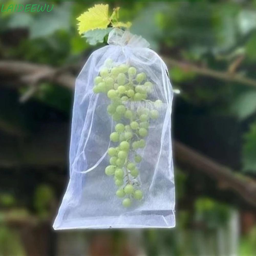 ภายหลัง 100ชิ้นผักพืชถุงป้องกัน,ระบายอากาศใจกว้างองุ่นผลไม้เติบโตกระเป๋า,มัลติฟังก์ชั่ตาข่ายผลไม้สีขาวกระเป๋าสําหรับการควบคุมศัตรูพืชต่อต้านนก