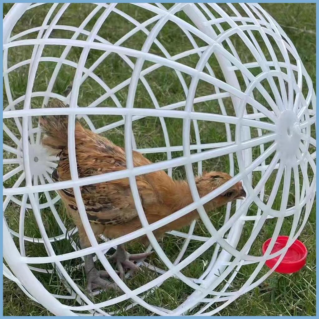 ไก่ลวด Ball Cage Movable Rolling Coop Ball 3 ชิ้นแบบพกพากลางแจ้งไก่ Coop Mobile Enclosure สําหรับกระ