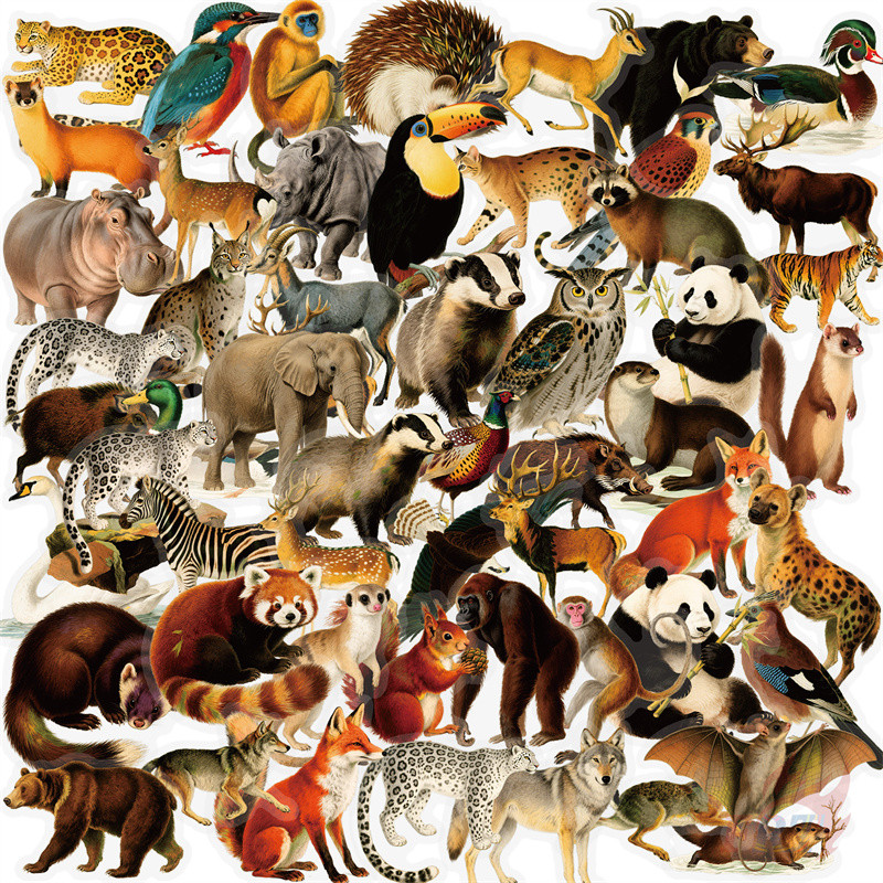 3D Realistic Nature African Animals Series 04 PET สติ๊กเกอร์ใส 54 ชิ้น/เซ็ต DIY แฟชั่นสติ๊กเกอร์กันน้ํา Doodle สติ๊กเกอร์