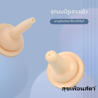 อุปกรณ์ให้นมลูกสุนัข-ลูกแมว ที่ป้อนนมด้วยไซรินจ์ พร้อมจุกนม พิเศษสำหรับสัตว์เลี้ยง ปลอดภัย พร้อมส่ง🐾🍼