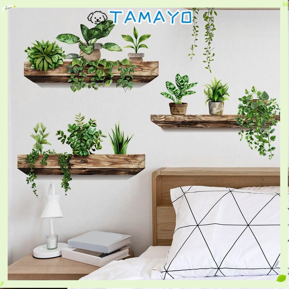 TAMAYO สติ๊กเกอร์ติดผนัง, จิตรกรรมฝาผนังแบบมีกาวในตัวที่สร้างสรรค์, ของตกแต่งบ้าน DIY สติ๊กเกอร์กระถางต้นไม้แบบถอดได้