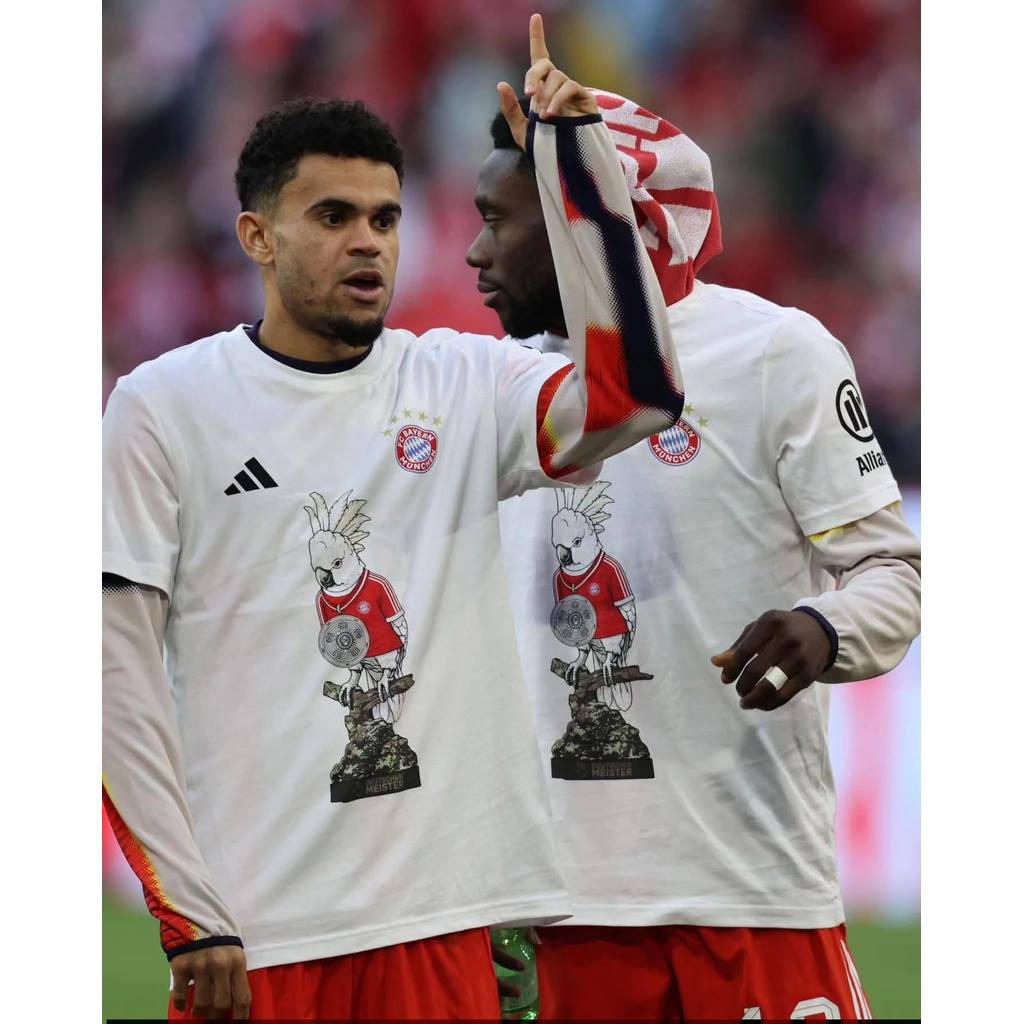 BAYERN MUNICH 2025/26 Bundesliga Champions Tee FC Bayern Deutscher Meister Fan Shirt Adult Cotton T-