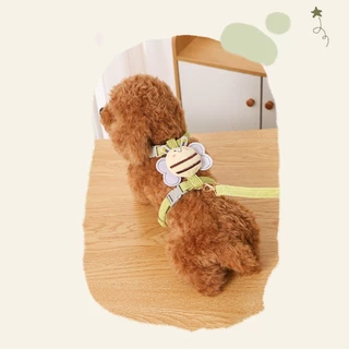 Novvia สายจูงสัตว์เลี้ยง รูปทรงผึ้ง สายจูงแมว สายจูงสุนัข เชือกลากจูง ป้องกันการสูญหาย สามารถปรับได้