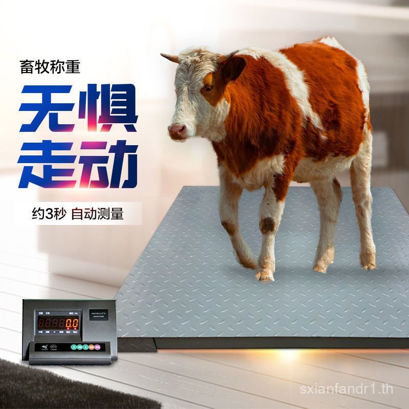 Shanghai Yaohua Electronic Place Scale 0-3 ตัน Scale สัตว์ Shepherd Scale เนื้อหมูแกะ Place Scale หน